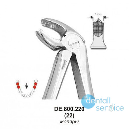 Щипцы Экстракционные, DE.800.220, Falcon Surgical (Пакистан)