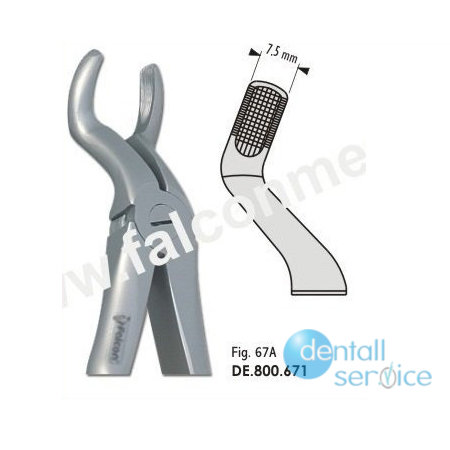 Щипцы Экстракционные, DE.800.671, Falcon Surgical (Пакистан)