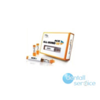 Самопротравливающий адгезив, ACE All-Bond SE Starter Kit - набор (2 картриджа ACE AII-Bond SE (по 2 мл), 1 диспенсер ACE, аксессуары), Bisco (США)